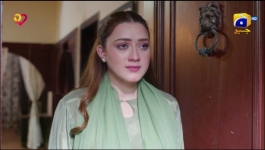 Tauba - Episode 82 - 6th January 2025